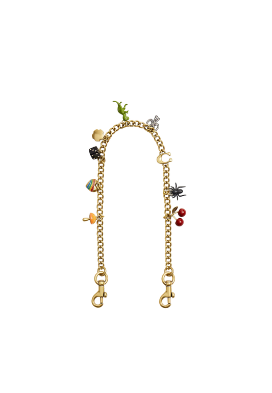 ( PREORDER ) Coach Chain With Charms Strap In Brass Multi CCD30