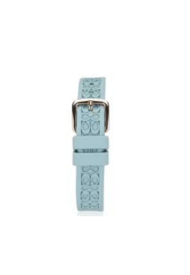 Coach Boyfriend Watch In Teal 14503979
