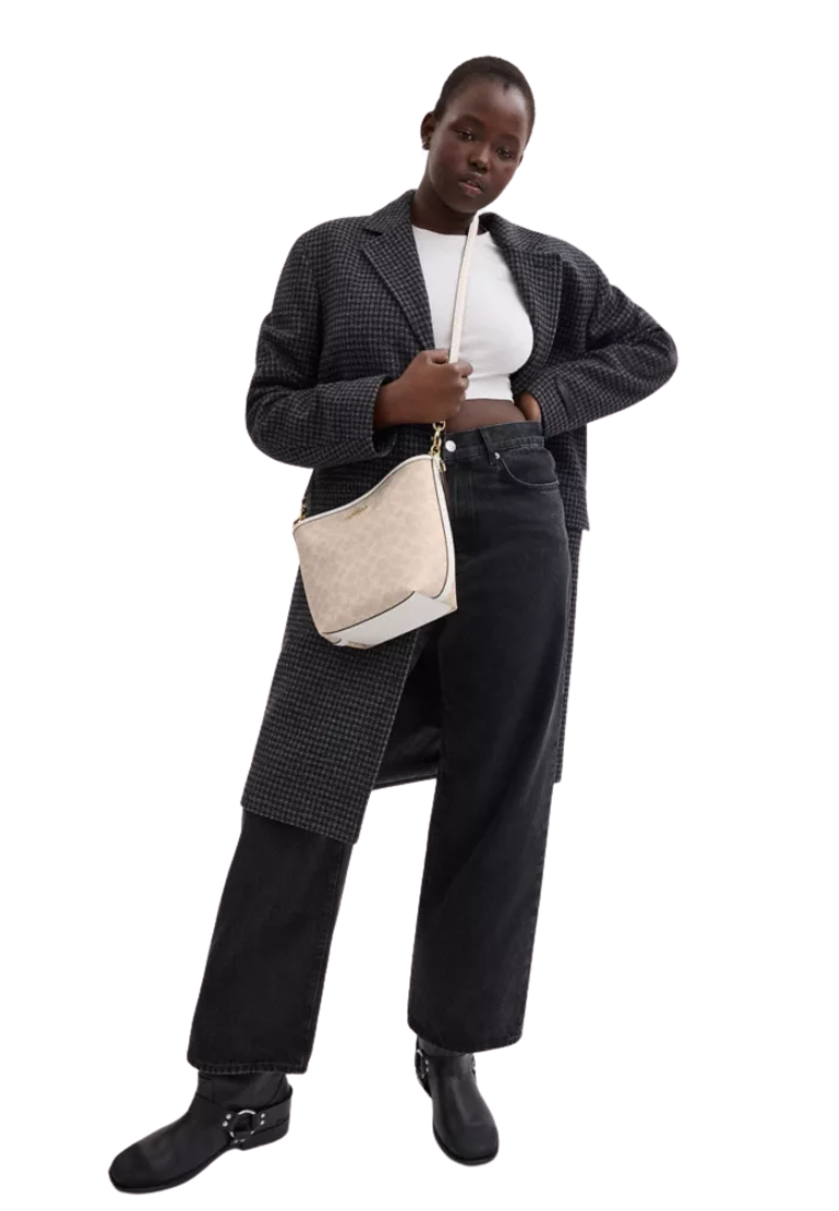 Coach City Bucket Bag Signature Canvas In Sand Chalk CT800