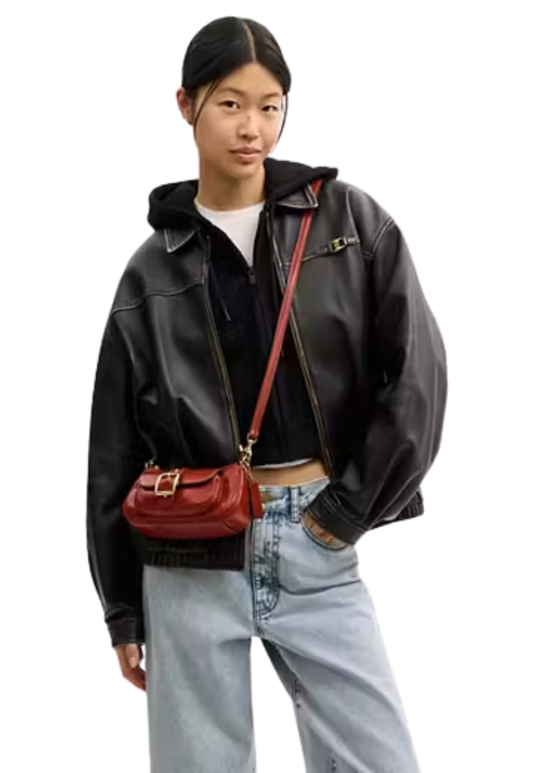 Coach Ashton Shoulder Bag Mini In Cinnamon CDB19