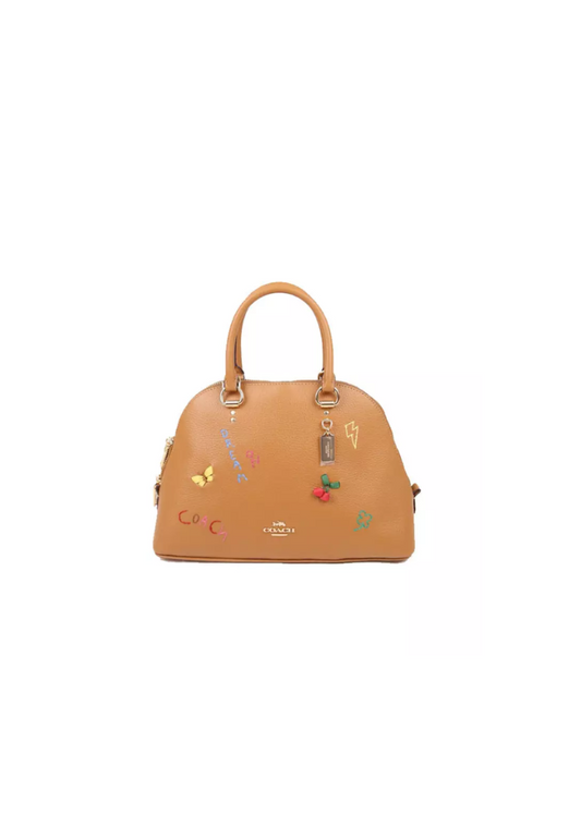 Coach Katy C8281 Satchel With Diary Embroidery In Penny Multi