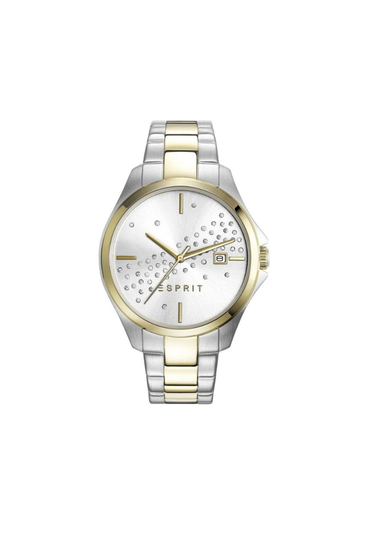 Esprit Women Cecilia ES108432004 Two Tone Watch