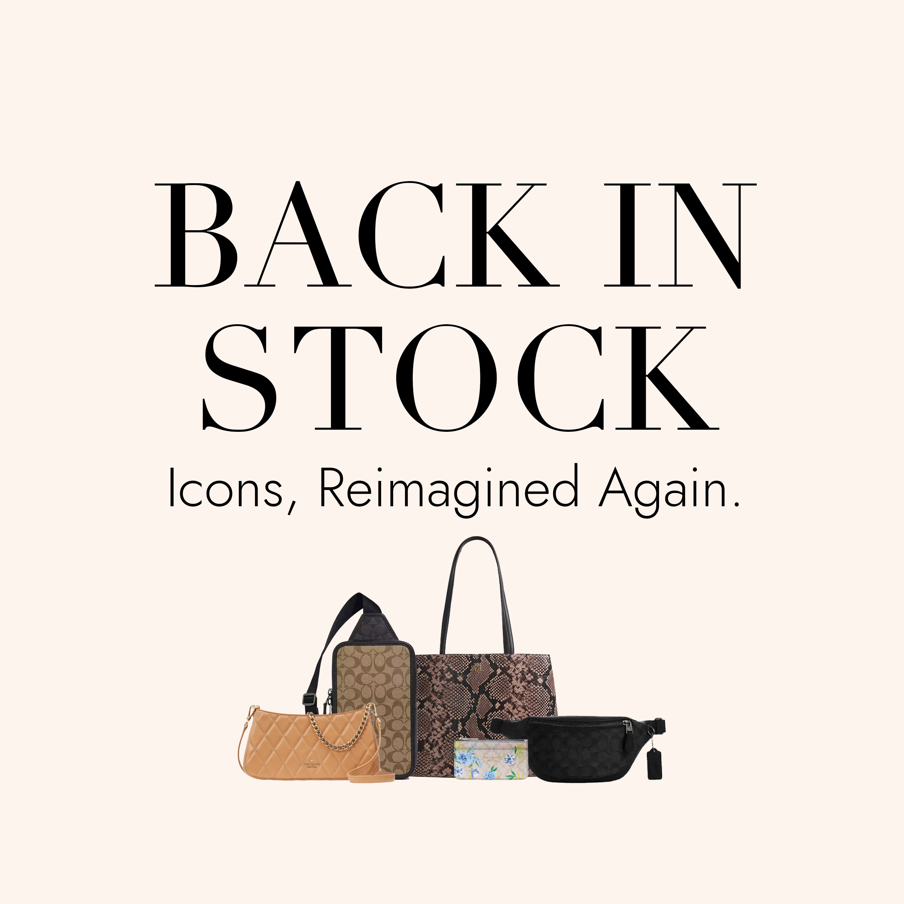 Buy Back In Stock Bag & Handbag | @ Fashrevo