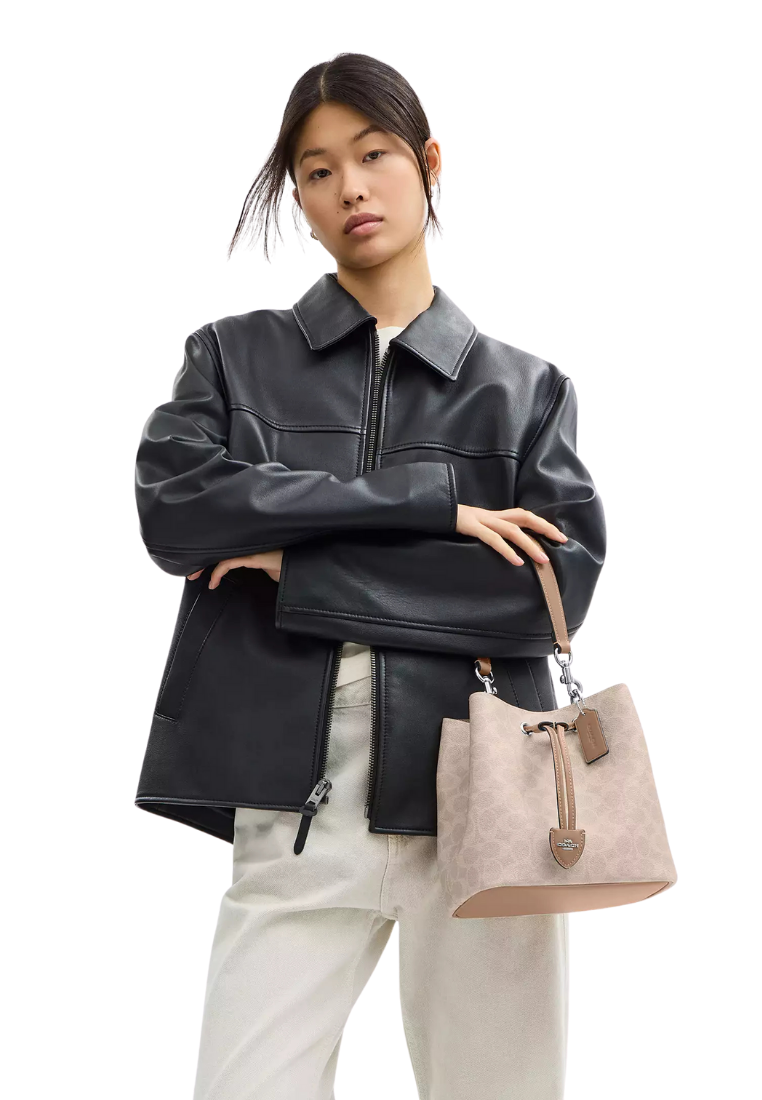 ( PREORDER ) Coach Rowan In Signature Canvas Bucket Bag In Silver Sand Taupe CBH07