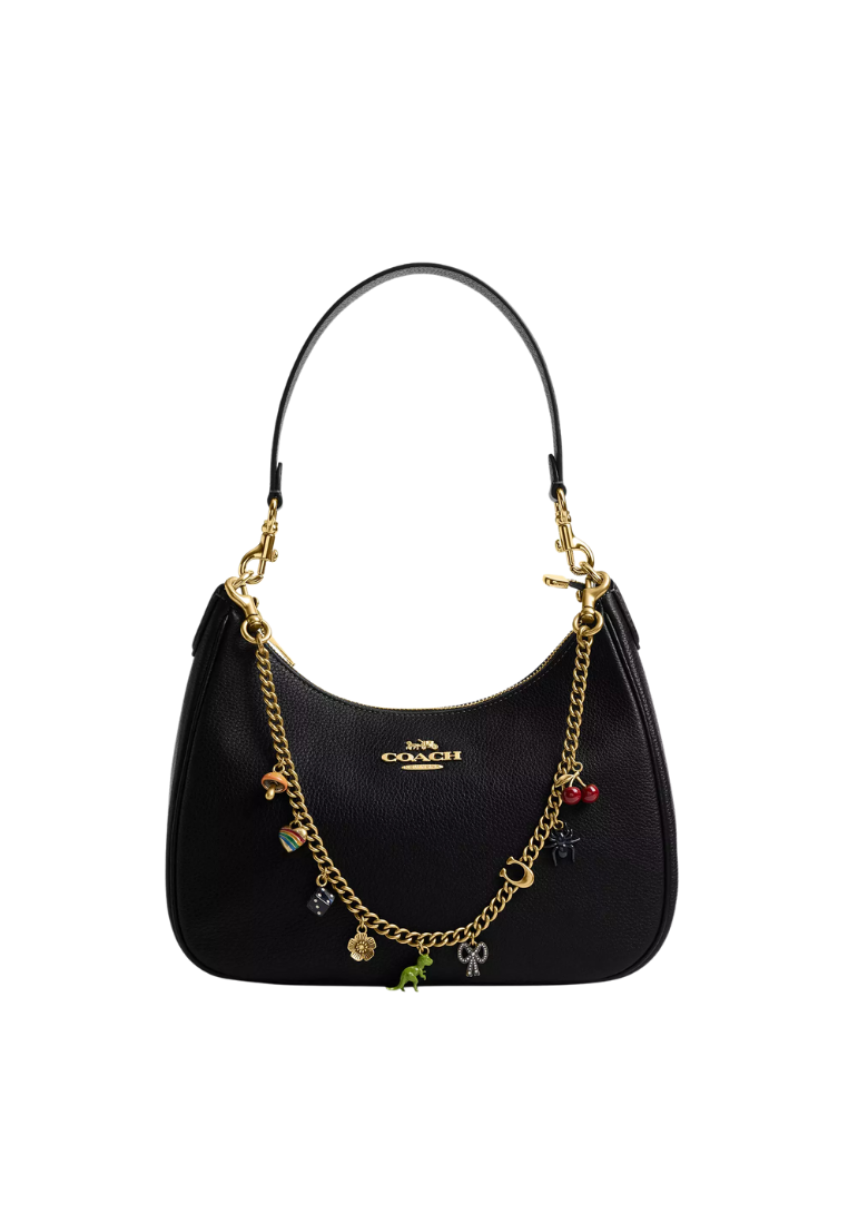 ( PREORDER ) Coach Chain With Charms Strap In Brass Multi CCD30