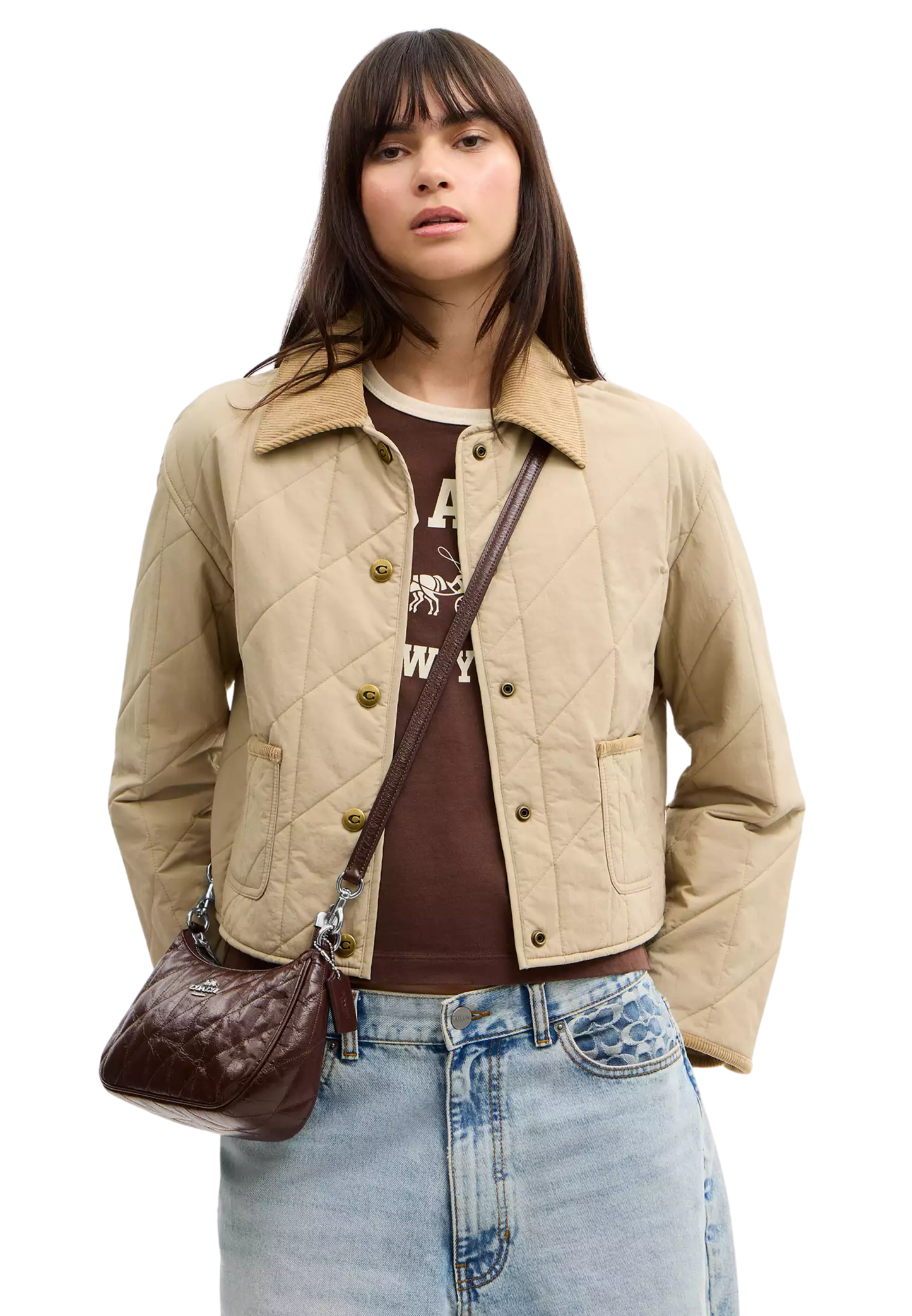 ( PREORDER ) Coach Teri With Quilting Shoulder Bag In Maple CDY83