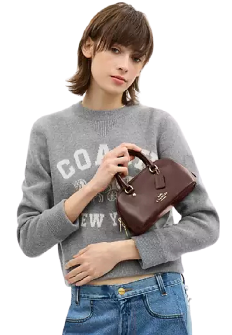 Coach Lara Mini Satchel Bag In Maple CEA01