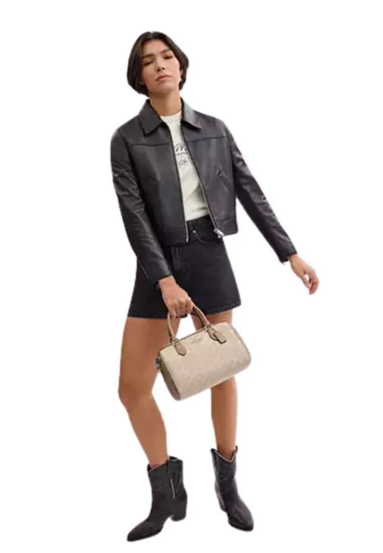 ( PREORDER ) Coach Rowan In Signature Canvas Satchel Bag In Silver Sand Taupe CW367
