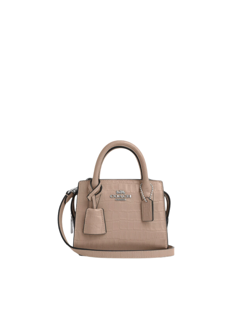 Coach Andrea Crossbody Bag Mini Carryall In Stone CR209