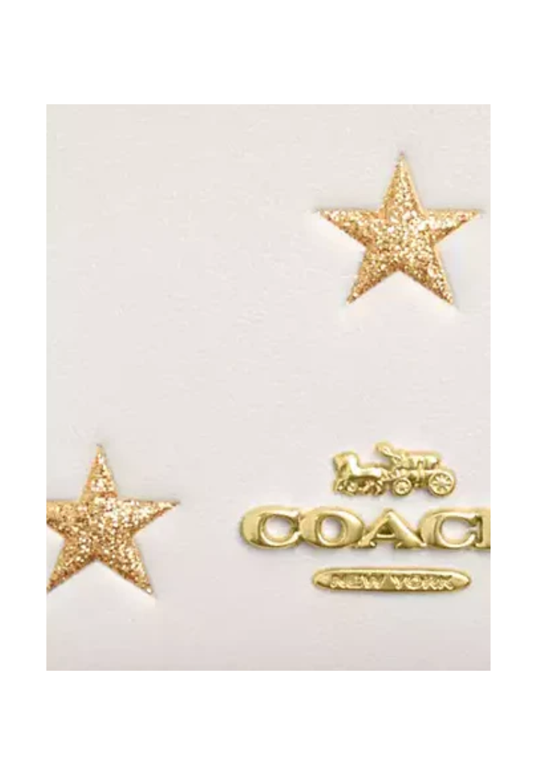 Coach Mini Skinny ID Case With Star Print In Chalk Multi CW876