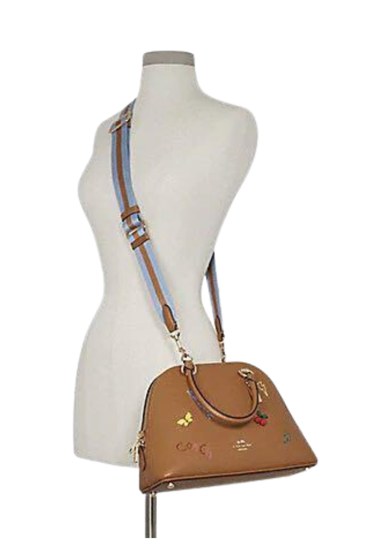 Coach Katy C8281 Satchel With Diary Embroidery In Penny Multi