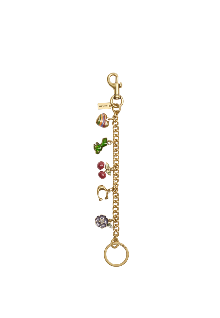 ( PREORDER ) Coach Motif Chain Bag Charm In Multi CN119