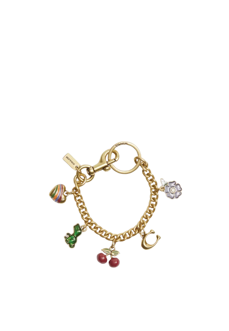 ( PREORDER ) Coach Motif Chain Bag Charm In Multi CN119