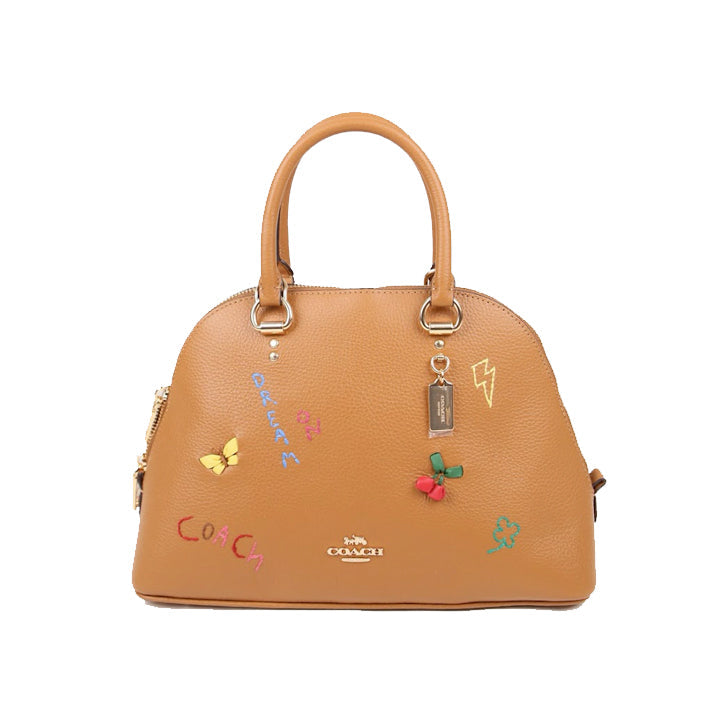 Coach Katy C8281 Satchel With Diary Embroidery In Penny Multi