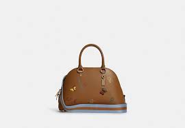 Coach Katy C8281 Satchel With Diary Embroidery In Penny Multi